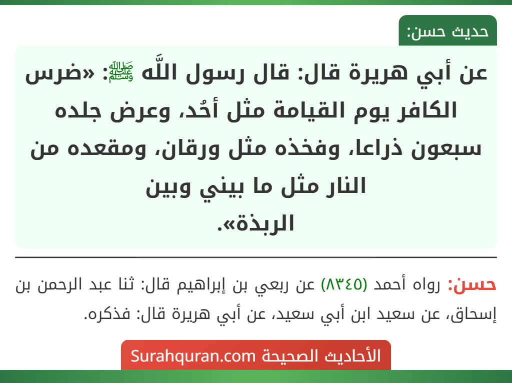 عن أبي هريرة قال: قال رسول اللَّه ﷺ: «ضرس الكافر يوم القيامة مثل أحُد، وعرض جلده سبعون ذراعا، وفخذه مثل ورقان، ومقعده من النار مثل ما بيني وبين
الربذة».