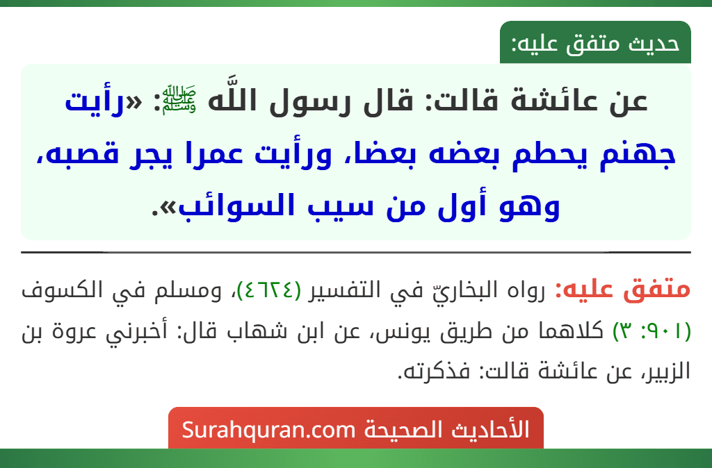 عن عائشة قالت: قال رسول اللَّه ﷺ: «رأيت جهنم يحطم بعضه بعضا، ورأيت عمرا يجر قصبه، وهو أول من سيب السوائب».