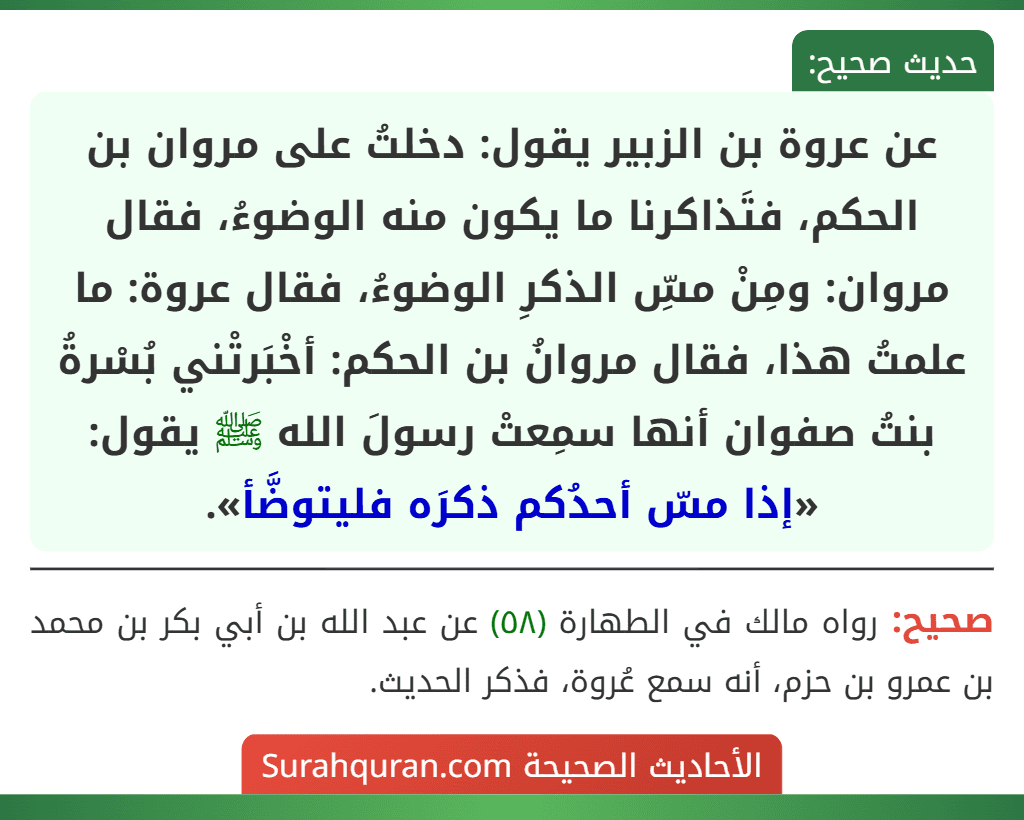 عن عروة بن الزبير يقول: دخلتُ على مروان بن الحكم، فتَذاكرنا ما يكون منه الوضوءُ، فقال مروان: ومِنْ مسِّ الذكرِ الوضوءُ، فقال عروة: ما علمتُ هذا، فقال مروانُ بن الحكم: أخْبَرتْني بُسْرةُ بنتُ صفوان أنها سمِعتْ رسولَ الله ﷺ يقول: «إذا مسّ أحدُكم ذكرَه فليتوضَّأ».