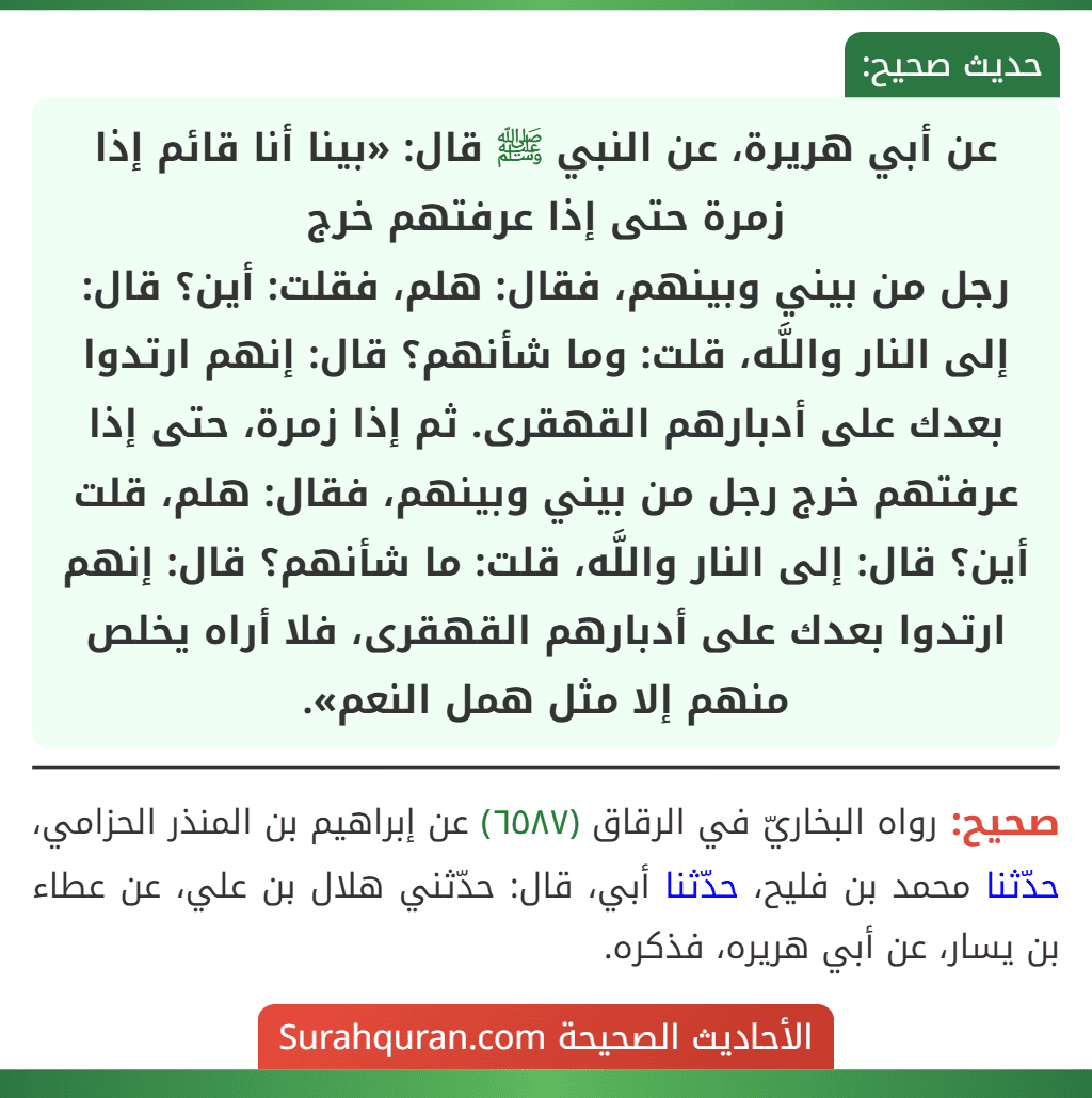 عن أبي هريرة، عن النبي ﷺ قال: «بينا أنا قائم إذا زمرة حتى إذا عرفتهم خرج
رجل من بيني وبينهم، فقال: هلم، فقلت: أين؟ قال: إلى النار واللَّه، قلت: وما شأنهم؟ قال: إنهم ارتدوا بعدك على أدبارهم القهقرى. ثم إذا زمرة، حتى إذا عرفتهم خرج رجل من بيني وبينهم، فقال: هلم، قلت أين؟ قال: إلى النار واللَّه، قلت: ما شأنهم؟ قال: إنهم ارتدوا بعدك على أدبارهم القهقرى، فلا أراه يخلص منهم إلا مثل همل النعم».