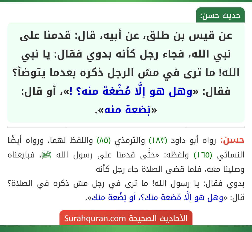 عن قيس بن طلق، عن أبيه، قال: قدمنا على نبي الله، فجاء رجل كأنه بدوي فقال: يا نبي الله! ما ترى في مسّ الرجل ذكره بعدما يتوضأ؟ فقال: «وهل هو إلَّا مُضْغة منه؟ !»، أو قال: «بَضعة منه».