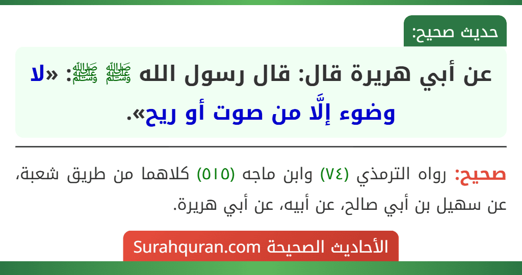 عن أبي هريرة قال: قال رسول الله ﷺ ﷺ: «لا وضوء إلَّا من صوت أو ريح».