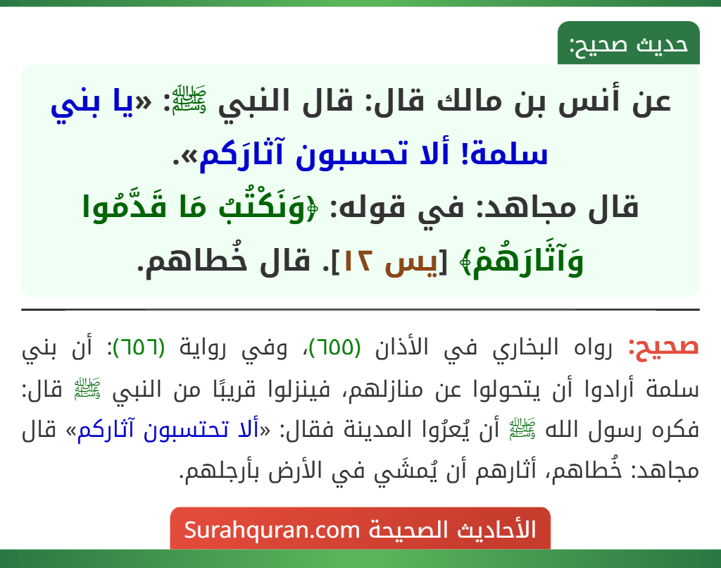 عن أنس بن مالك قال: قال النبي ﷺ: «يا بني سلمة! ألا تحسبون آثارَكم».
قال مجاهد: في قوله: ﴿وَنَكْتُبُ مَا قَدَّمُوا وَآثَارَهُمْ﴾ [يس ١٢]. قال خُطاهم.