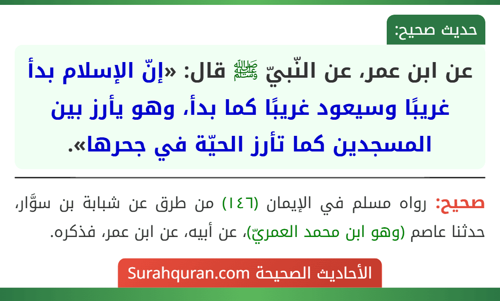 عن ابن عمر، عن النّبيّ ﷺ قال: «إنّ الإسلام بدأ غريبًا وسيعود غريبًا كما بدأ، وهو يأرز بين المسجدين كما تأرز الحيّة في جحرها». عن ابن عمر، عن النّبيّ ﷺ قال: «إنّ الإسلام بدأ غريبًا وسيعود غريبًا كما بدأ، وهو يأرز بين المسجدين كما تأرز الحيّة في جحرها».