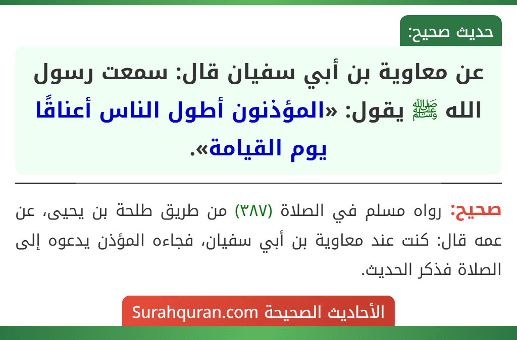 عن معاوية بن أبي سفيان قال: سمعت رسول الله ﷺ يقول: «المؤذنون أطول الناس أعناقًا يوم القيامة».