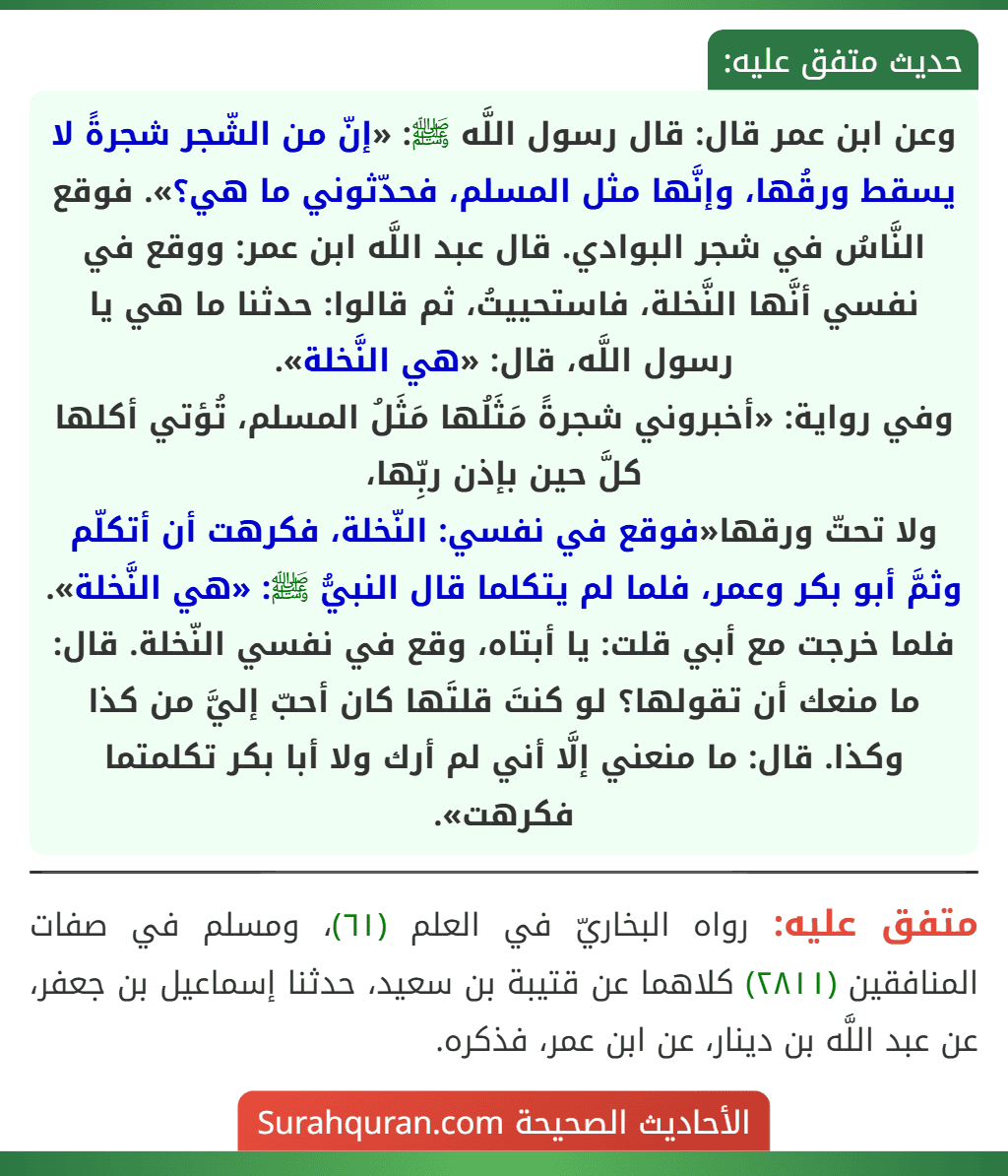 وعن ابن عمر قال: قال رسول اللَّه ﷺ: «إنّ من الشّجر شجرةً لا يسقط ورقُها، وإنَّها مثل المسلم، فحدّثوني ما هي؟». فوقع النَّاسُ في شجر البوادي. قال عبد اللَّه ابن عمر: ووقع في نفسي أنَّها النَّخلة، فاستحييتُ، ثم قالوا: حدثنا ما هي يا رسول اللَّه، قال: «هي النَّخلة».
وفي رواية: «أخبروني شجرةً مَثَلُها مَثَلُ المسلم، تُؤتي أكلها كلَّ حين بإذن ربِّها،
ولا تحتّ ورقها«فوقع في نفسي: النّخلة، فكرهت أن أتكلّم وثمَّ أبو بكر وعمر، فلما لم يتكلما قال النبيُّ ﷺ: «هي النَّخلة». فلما خرجت مع أبي قلت: يا أبتاه، وقع في نفسي النّخلة. قال: ما منعك أن تقولها؟ لو كنتَ قلتَها كان أحبّ إليَّ من كذا وكذا. قال: ما منعني إلَّا أني لم أرك ولا أبا بكر تكلمتما فكرهت». وعن ابن عمر قال: قال رسول اللَّه ﷺ: «إنّ من الشّجر شجرةً لا يسقط ورقُها، وإنَّها مثل المسلم، فحدّثوني ما هي؟». فوقع النَّاسُ في شجر البوادي. قال عبد اللَّه ابن عمر: ووقع في نفسي أنَّها النَّخلة، فاستحييتُ، ثم قالوا: حدثنا ما هي يا رسول اللَّه، قال: «هي النَّخلة».
وفي رواية: «أخبروني شجرةً مَثَلُها مَثَلُ المسلم، تُؤتي أكلها كلَّ حين بإذن ربِّها،
ولا تحتّ ورقها«فوقع في نفسي: النّخلة، فكرهت أن أتكلّم وثمَّ أبو بكر وعمر، فلما لم يتكلما قال النبيُّ ﷺ: «هي النَّخلة». فلما خرجت مع أبي قلت: يا أبتاه، وقع في نفسي النّخلة. قال: ما منعك أن تقولها؟ لو كنتَ قلتَها كان أحبّ إليَّ من كذا وكذا. قال: ما منعني إلَّا أني لم أرك ولا أبا بكر تكلمتما فكرهت».