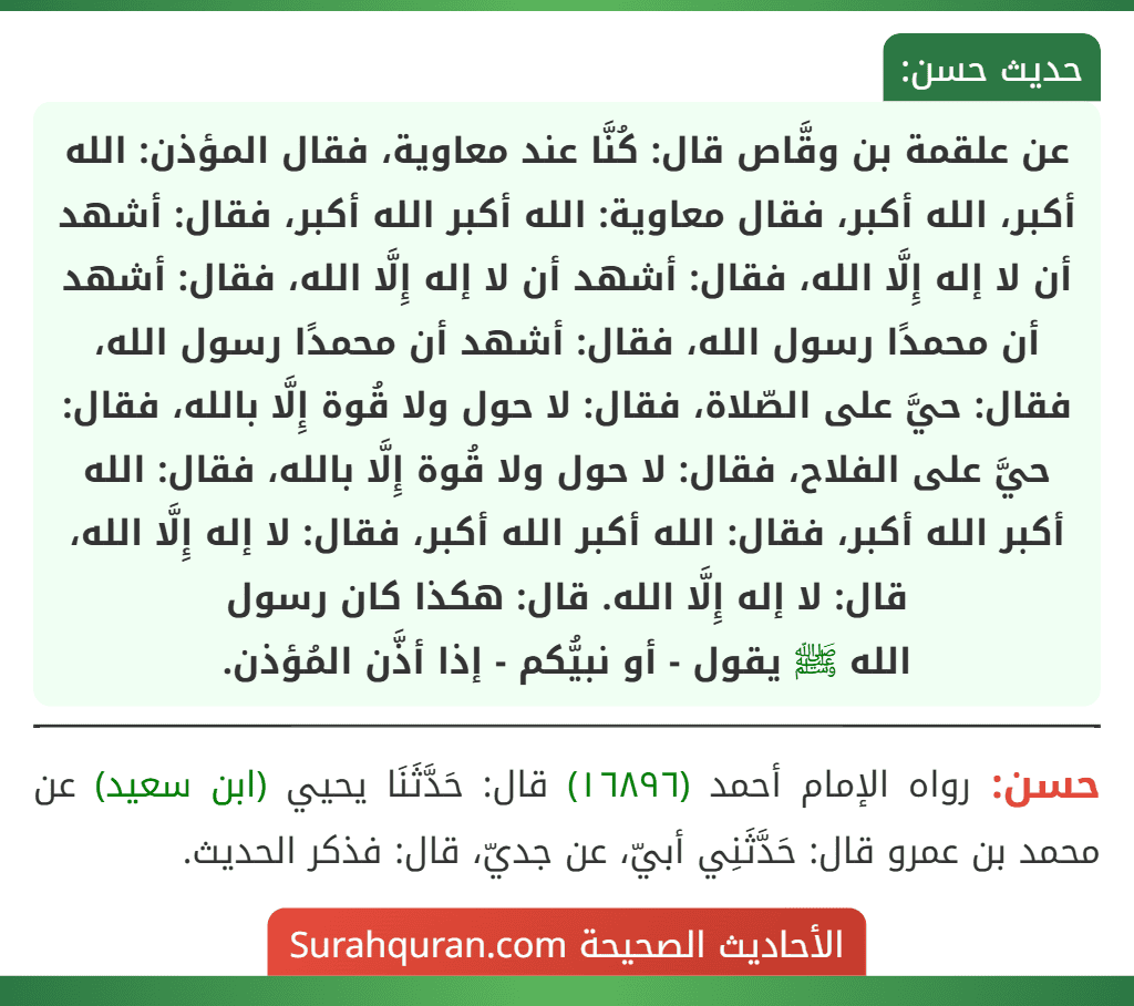 عن علقمة بن وقَّاص قال: كُنَّا عند معاوية، فقال المؤذن: الله أكبر، الله أكبر، فقال معاوية: الله أكبر الله أكبر، فقال: أشهد أن لا إله إِلَّا الله، فقال: أشهد أن لا إله إِلَّا الله، فقال: أشهد أن محمدًا رسول الله، فقال: أشهد أن محمدًا رسول الله، فقال: حيَّ على الصّلاة، فقال: لا حول ولا قُوة إِلَّا بالله، فقال: حيَّ على الفلاح، فقال: لا حول ولا قُوة إِلَّا بالله، فقال: الله أكبر الله أكبر، فقال: الله أكبر الله أكبر، فقال: لا إله إِلَّا الله، قال: لا إله إِلَّا الله. قال: هكذا كان رسول
الله ﷺ يقول - أو نبيُّكم - إذا أذَّن المُؤذن.