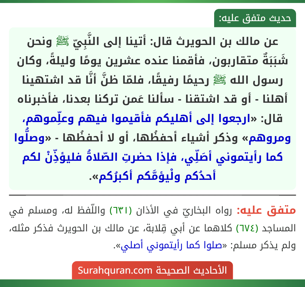 عن مالك بن الحويرث قال: أتينا إلى النَّبِيّ ﷺ ونحن شَبَبَةٌ متقاربون، فأقمنا عنده عشرين يومًا وليلةً، وكان رسول الله ﷺ رحيمًا رفيقًا، فلمّا ظنَّ أنَّا قد اشتهينا أهلنا - أو قد اشتقنا - سألنا عَمن تركنا بعدنا، فأخبرناه قال: «ارجعوا إلى أهليكم فأقيموا فيهم وعلِّموهم، ومروهم» وذكر أشياء أحفظُها، أو لا أحفظُها - «وصلُّوا كما رأيتموني أصَلِّي، فإذا حضرتِ الصّلاةُ فليؤذِّنْ لكم أحدُكم ولْيؤمَّكم أكبرُكم».