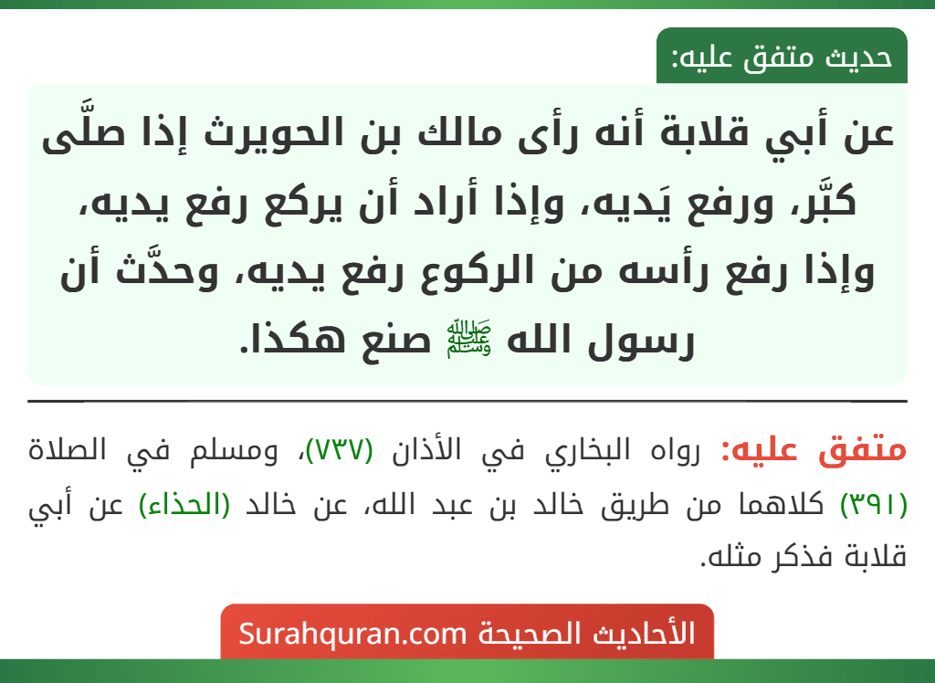 عن أبي قلابة أنه رأى مالك بن الحويرث إذا صلَّى كبَّر، ورفع يَديه، وإذا أراد أن يركع رفع يديه، وإذا رفع رأسه من الركوع رفع يديه، وحدَّث أن رسول الله ﷺ صنع هكذا.