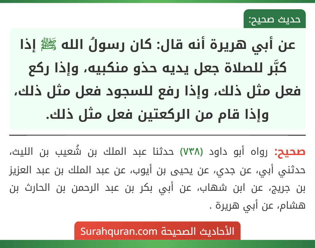 عن أبي هريرة أنه قال: كان رسولُ الله ﷺ إذا كبَّر للصلاة جعل يديه حذو منكبيه، وإذا ركع فعل مثل ذلك، وإذا رفع للسجود فعل مثل ذلك، وإذا قام من الركعتين فعل مثل ذلك.