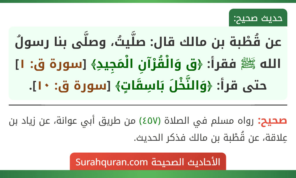 عن قُطْبة بن مالك قال: صلَّيتُ، وصلَّى بنا رسولُ الله ﷺ فقرأ: ﴿ق وَالْقُرْآنِ الْمَجِيدِ﴾ [سورة ق: ١] حتى قرأ: ﴿وَالنَّخْلَ بَاسِقَاتٍ﴾ [سورة ق: ١٠].
