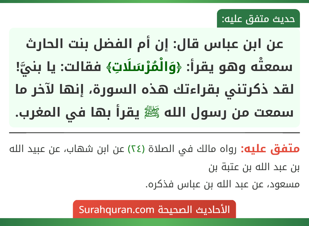 عن ابن عباس قال: إن أم الفضل بنت الحارث سمعتْه وهو يقرأ: ﴿وَالْمُرْسَلَاتِ﴾ فقالت: يا بنيَّ! لقد ذكرتني بقراءتك هذه السورة، إنها لآخر ما سمعت من رسول الله ﷺ يقرأ بها في المغرب. عن ابن عباس قال: إن أم الفضل بنت الحارث سمعتْه وهو يقرأ: ﴿وَالْمُرْسَلَاتِ﴾ فقالت: يا بنيَّ! لقد ذكرتني بقراءتك هذه السورة، إنها لآخر ما سمعت من رسول الله ﷺ يقرأ بها في المغرب.