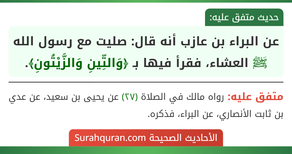 عن البراء بن عازب أنه قال: صليت مع رسول الله ﷺ العشاء، فقرأ فيها بـ ﴿وَالتِّينِ وَالزَّيْتُونِ﴾.