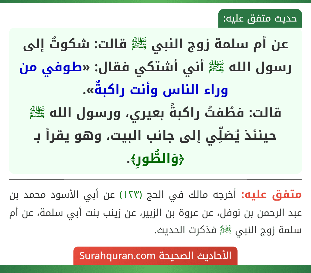 عن أم سلمة زوج النبي ﷺ قالت: شكوتُ إلى رسول الله ﷺ أني أشتكي فقال: «طوفي من وراء الناس وأنت راكبةٌ».
قالت: فطُفتُ راكبةً بعيري، ورسول الله ﷺ حينئذ يُصَلِّي إلى جانب البيت، وهو يقرأ بـ ﴿وَالطُّورِ﴾. عن أم سلمة زوج النبي ﷺ قالت: شكوتُ إلى رسول الله ﷺ أني أشتكي فقال: «طوفي من وراء الناس وأنت راكبةٌ».
قالت: فطُفتُ راكبةً بعيري، ورسول الله ﷺ حينئذ يُصَلِّي إلى جانب البيت، وهو يقرأ بـ ﴿وَالطُّورِ﴾.