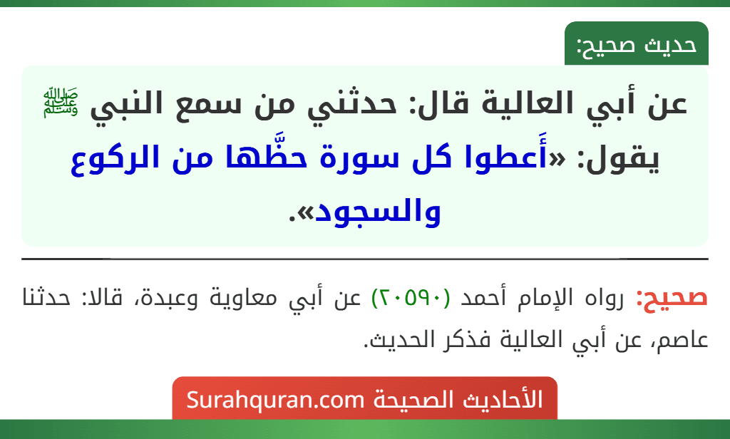 عن أبي العالية قال: حدثني من سمع النبي ﷺ يقول: «أَعطوا كل سورة حظَّها من الركوع والسجود».