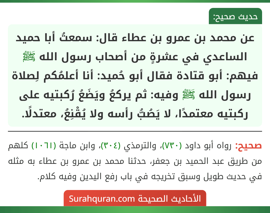 عن محمد بن عمرو بن عطاء قال: سمعتُ أبا حميد الساعدي في عشرةٍ من أصحاب رسول الله ﷺ فيهم: أبو قتادة فقال أبو حُميد: أنا أعلمُكم لِصلاة رسول الله ﷺ وفيه: ثم يركعُ ويَضَعُ رُكبتيه على ركبتيه معتمدًا، لا يَصُبُّ رأسه ولا يُقْنِعُ، معتدلًا. عن محمد بن عمرو بن عطاء قال: سمعتُ أبا حميد الساعدي في عشرةٍ من أصحاب رسول الله ﷺ فيهم: أبو قتادة فقال أبو حُميد: أنا أعلمُكم لِصلاة رسول الله ﷺ وفيه: ثم يركعُ ويَضَعُ رُكبتيه على ركبتيه معتمدًا، لا يَصُبُّ رأسه ولا يُقْنِعُ، معتدلًا.