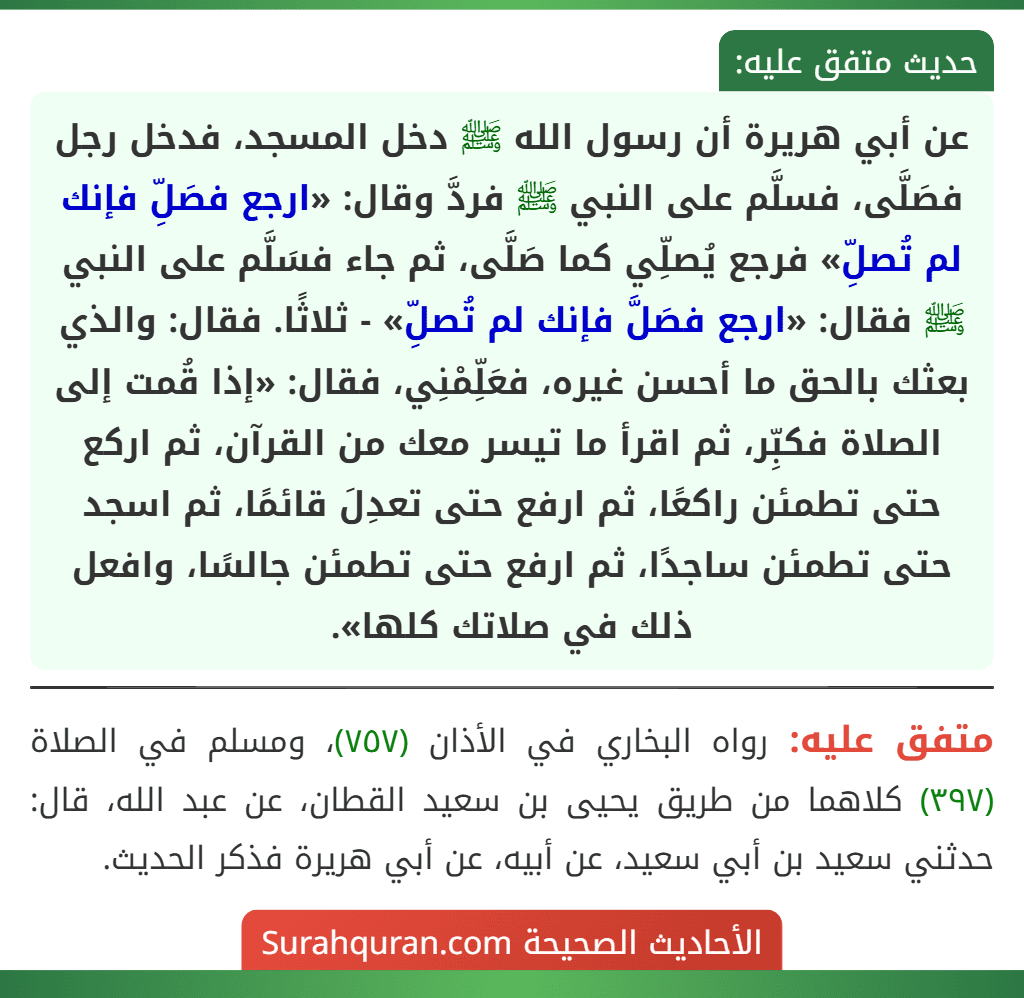 عن أبي هريرة أن رسول الله ﷺ دخل المسجد، فدخل رجل فصَلَّى، فسلَّم على النبي ﷺ فردَّ وقال: «ارجع فصَلِّ فإنك لم تُصلِّ» فرجع يُصلِّي كما صَلَّى، ثم جاء فسَلَّم على النبي ﷺ فقال: «ارجع فصَلَّ فإنك لم تُصلِّ» - ثلاثًا. فقال: والذي بعثك بالحق ما أحسن غيره، فعَلِّمْنِي، فقال: «إذا قُمت إلى الصلاة فكبِّر، ثم اقرأ ما تيسر معك من القرآن، ثم اركع حتى تطمئن راكعًا، ثم ارفع حتى تعدِلَ قائمًا، ثم اسجد
حتى تطمئن ساجدًا، ثم ارفع حتى تطمئن جالسًا، وافعل ذلك في صلاتك كلها».