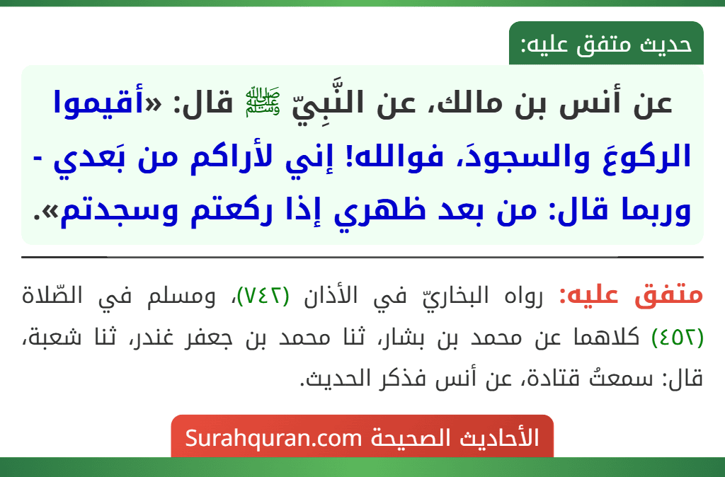 عن أنس بن مالك، عن النَّبِيّ ﷺ قال: «أقيموا الركوعَ والسجودَ، فوالله! إني لأراكم من بَعدي - وربما قال: من بعد ظهري إذا ركعتم وسجدتم».