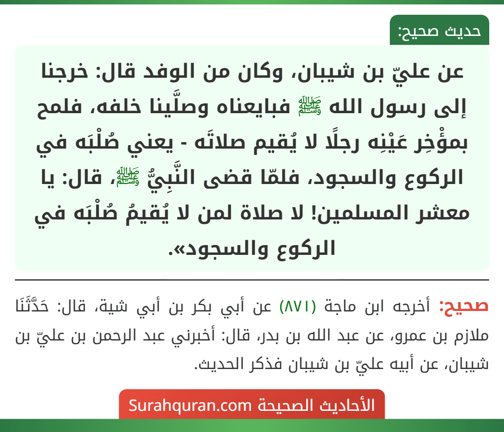 عن عليّ بن شيبان، وكان من الوفد قال: خرجنا إلى رسول الله ﷺ فبايعناه وصلَّينا خلفه، فلمح بمؤْخِر عَيْنِه رجلًا لا يُقيم صلاتَه - يعني صُلْبَه في الركوع والسجود، فلمّا قضى النَّبِيُّ ﷺ، قال: يا معشر المسلمين! لا صلاة لمن لا يُقيمُ صُلْبَه في الركوع والسجود». عن عليّ بن شيبان، وكان من الوفد قال: خرجنا إلى رسول الله ﷺ فبايعناه وصلَّينا خلفه، فلمح بمؤْخِر عَيْنِه رجلًا لا يُقيم صلاتَه - يعني صُلْبَه في الركوع والسجود، فلمّا قضى النَّبِيُّ ﷺ، قال: يا معشر المسلمين! لا صلاة لمن لا يُقيمُ صُلْبَه في الركوع والسجود».