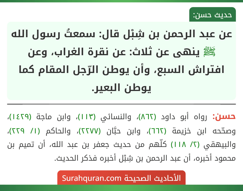 عن عبد الرحمن بن شِبْل قال: سمعتُ رسول الله ﷺ ينهى عن ثلاث: عن نقرة الغراب، وعن افتراش السبع، وأن يوطن الرّجل المقام كما يوطن البعير.