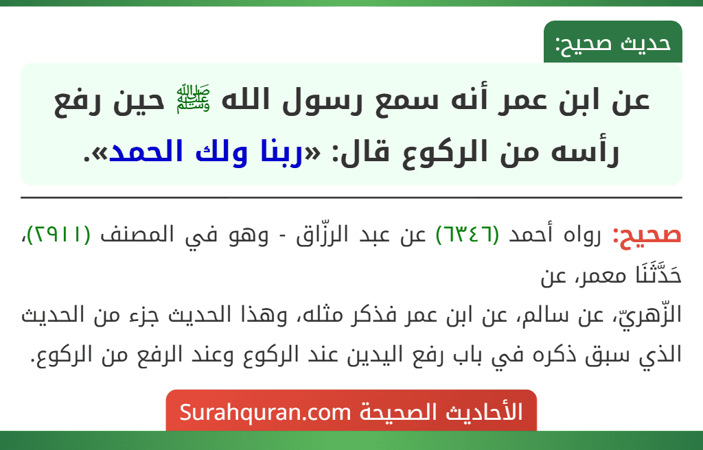 عن ابن عمر أنه سمع رسول الله ﷺ حين رفع رأسه من الركوع قال: «ربنا ولك الحمد».