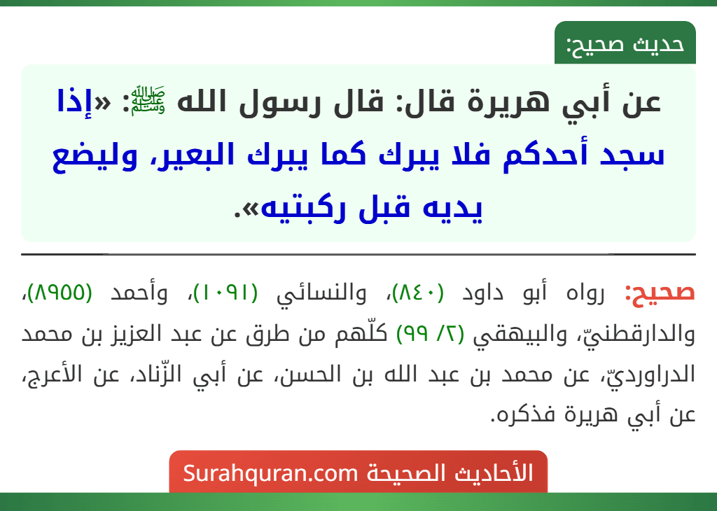 عن أبي هريرة قال: قال رسول الله ﷺ: «إذا سجد أحدكم فلا يبرك كما يبرك البعير، وليضع يديه قبل ركبتيه».