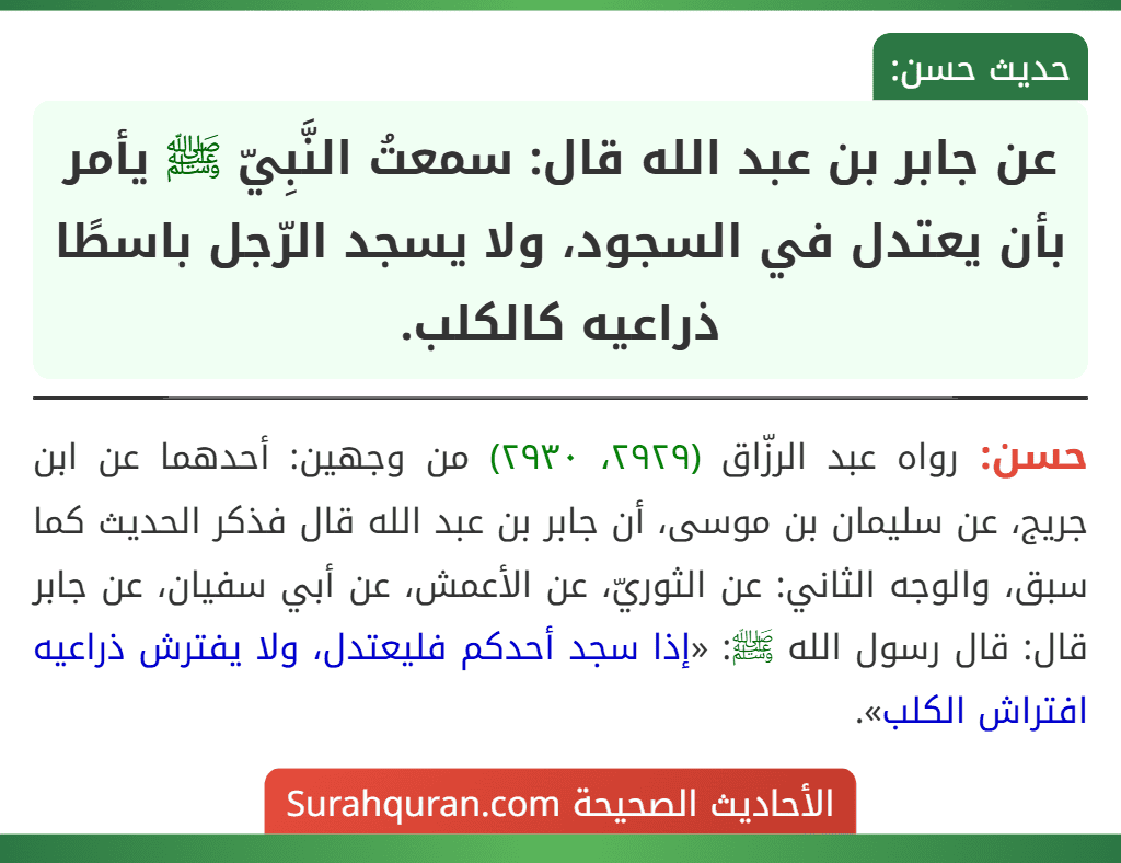 عن جابر بن عبد الله قال: سمعتُ النَّبِيّ ﷺ يأمر بأن يعتدل في السجود، ولا يسجد الرّجل باسطًا ذراعيه كالكلب.