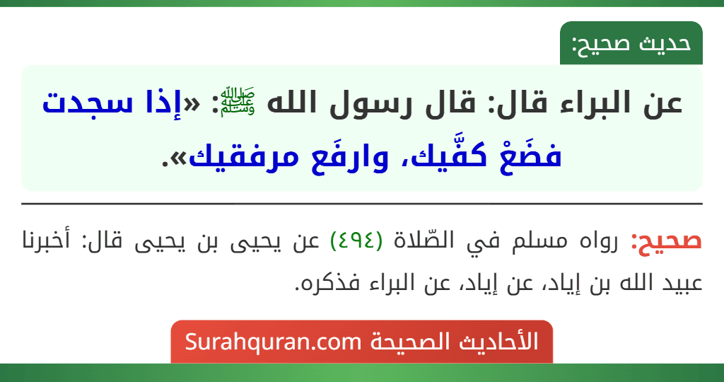 عن البراء قال: قال رسول الله ﷺ: «إذا سجدت فضَعْ كفَّيك، وارفَع مرفقيك».