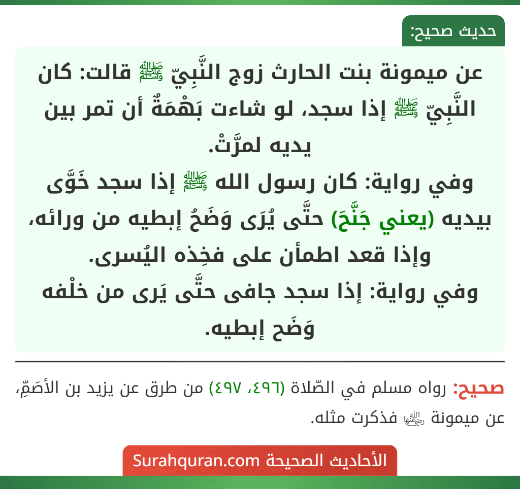 عن ميمونة بنت الحارث زوج النَّبِيّ ﷺ قالت: كان النَّبِيّ ﷺ إذا سجد، لو شاءت بَهْمَةٌ أن تمر بين يديه لمرَّتْ.
وفي رواية: كان رسول الله ﷺ إذا سجد خَوَّى بيديه (يعني جَنَّحَ) حتَّى يُرَى وَضَحُ إبطيه من ورائه، وإذا قعد اطمأن على فخِذه اليُسرى.
وفي رواية: إذا سجد جافى حتَّى يَرى من خلْفه وَضَح إبطيه.