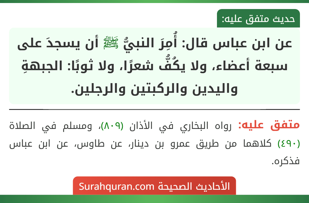 عن ابن عباس قال: أُمِرَ النبيُّ ﷺ أن يسجدَ على سبعة أعضاء، ولا يكُفُّ شعرًا، ولا ثوبًا: الجبهةِ واليدين والركبتين والرجلين.