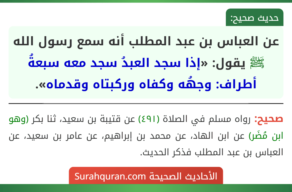 عن العباس بن عبد المطلب أنه سمع رسول الله ﷺ يقول: «إذا سجد العبدُ سجد معه سبعةُ أطراف: وجهُه وكفاه وركبتاه وقدماه».