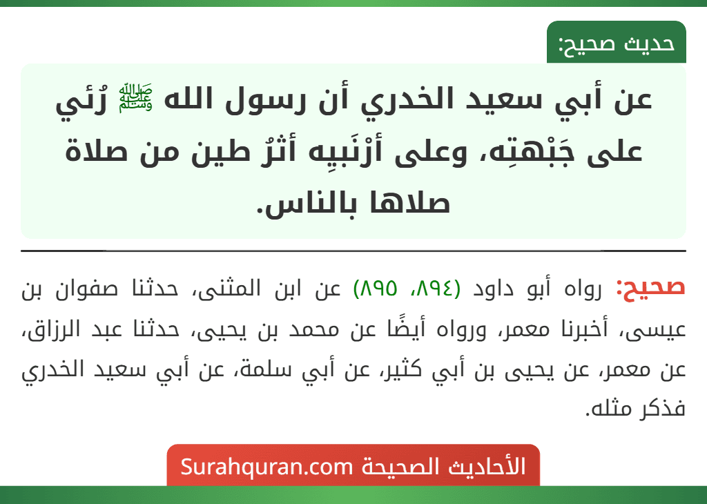 عن أبي سعيد الخدري أن رسول الله ﷺ رُئي على جَبْهتِه، وعلى أرْنَبيِه أثرُ طين من صلاة صلاها بالناس.