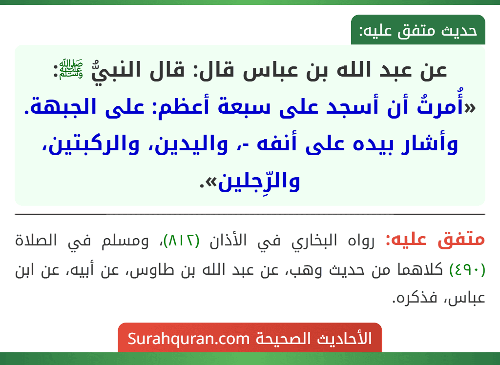 عن عبد الله بن عباس قال: قال النبيُّ ﷺ: «أُمرتُ أن أسجد على سبعة أعظم: على الجبهة. وأشار بيده على أنفه -، واليدين، والركبتين، والرِّجلين».