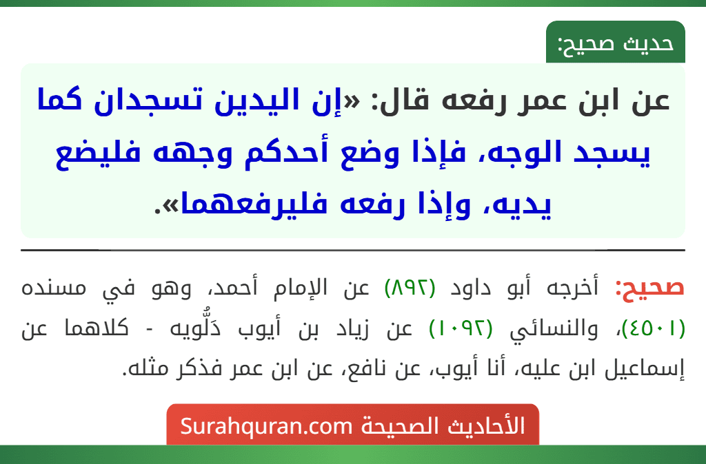 عن ابن عمر رفعه قال: «إن اليدين تسجدان كما يسجد الوجه، فإذا وضع أحدكم وجهه فليضع يديه، وإذا رفعه فليرفعهما».