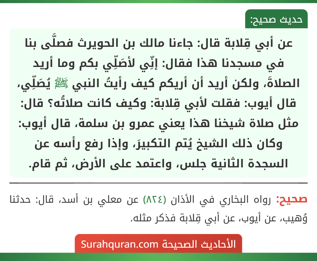 عن أبي قِلابة قال: جاءنا مالك بن الحويرث فصلَّى بنا في مسجدنا هذا فقال: إنِّي لأصَلِّي بكم وما أريد الصلاةَ، ولكن أريد أن أريكم كيف رأيتُ النبي ﷺ يُصَلِّي، قال أيوب: فقلت لأبي قِلابة: وكيف كانت صلاتُه؟ قال: مثل صلاة شيخنا هذا يعني عمرو بن سلمة، قال أيوب: وكان ذلك الشيخ يُتم التكبيرَ، وإذا رفع رأسه عن السجدة الثانية جلس، واعتمد على الأرض، ثم قام.