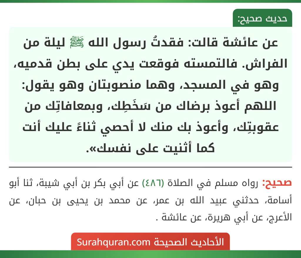 عن عائشة قالت: فقدتُ رسول الله ﷺ ليلة من الفراش. فالتمسته فوقعت يدي على بطن قدميه، وهو في المسجد، وهما منصوبتان وهو يقول: اللهم أعوذ برضاك من سَخَطِك، وبمعافاتِك من عقوبتِك، وأعوذ بك منك لا أحصي ثناءً عليك أنت كما أثنيت على نفسك». عن عائشة قالت: فقدتُ رسول الله ﷺ ليلة من الفراش. فالتمسته فوقعت يدي على بطن قدميه، وهو في المسجد، وهما منصوبتان وهو يقول: اللهم أعوذ برضاك من سَخَطِك، وبمعافاتِك من عقوبتِك، وأعوذ بك منك لا أحصي ثناءً عليك أنت كما أثنيت على نفسك».