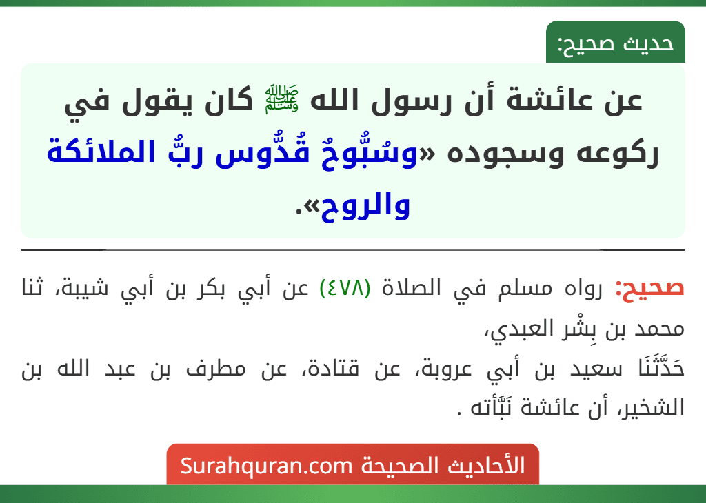 عن عائشة أن رسول الله ﷺ كان يقول في ركوعه وسجوده «وسُبُّوحٌ قُدُّوس ربُّ الملائكة والروح». عن عائشة أن رسول الله ﷺ كان يقول في ركوعه وسجوده «وسُبُّوحٌ قُدُّوس ربُّ الملائكة والروح».