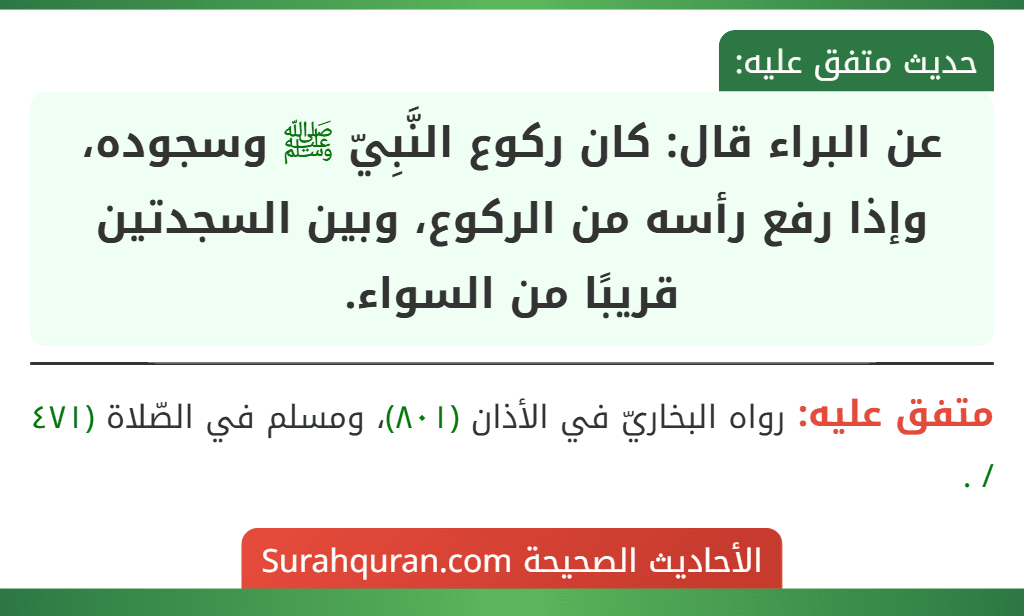 عن البراء قال: كان ركوع النَّبِيّ ﷺ وسجوده، وإذا رفع رأسه من الركوع، وبين السجدتين قريبًا من السواء.