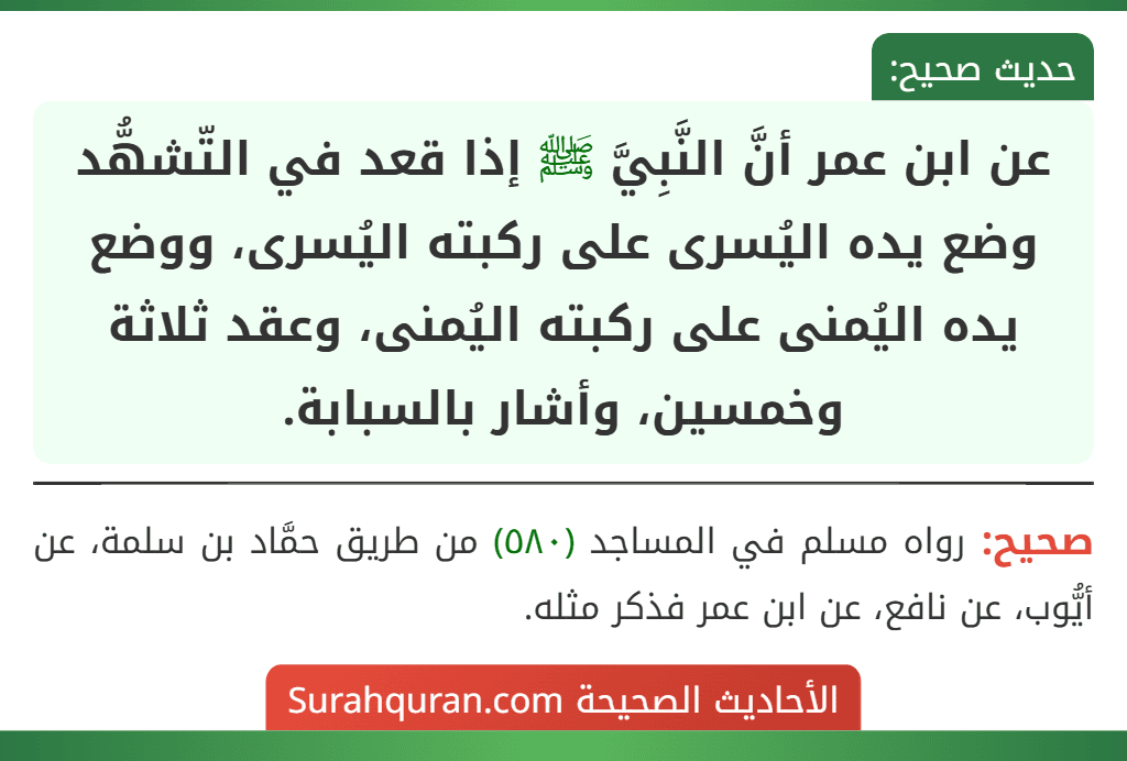 عن ابن عمر أنَّ النَّبِيَّ ﷺ إذا قعد في التّشهُّد وضع يده اليُسرى على ركبته اليُسرى، ووضع يده اليُمنى على ركبته اليُمنى، وعقد ثلاثة وخمسين، وأشار بالسبابة.