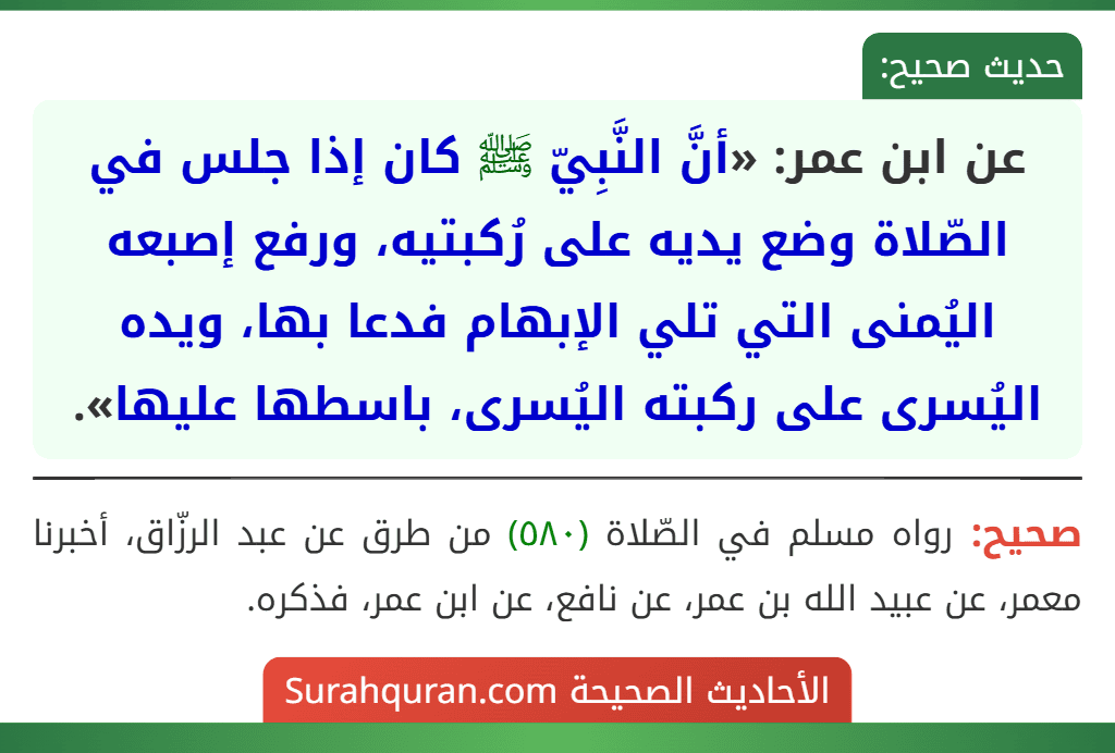عن ابن عمر: «أنَّ النَّبِيّ ﷺ كان إذا جلس في الصّلاة وضع يديه على رُكبتيه، ورفع إصبعه اليُمنى التي تلي الإبهام فدعا بها، ويده اليُسرى على ركبته اليُسرى، باسطها عليها».