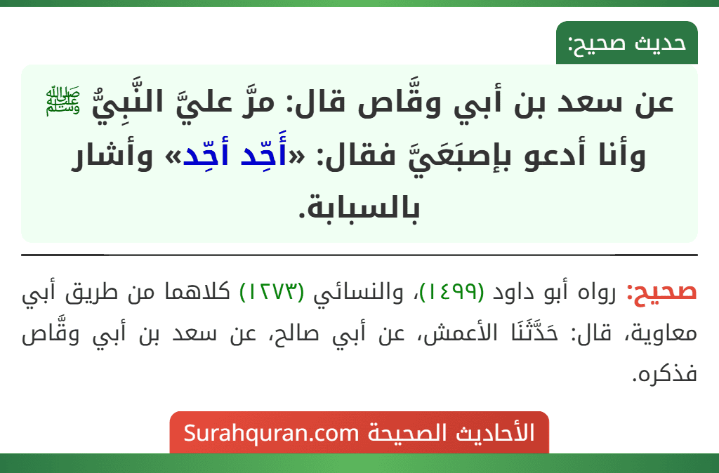عن سعد بن أبي وقَّاص قال: مرَّ عليَّ النَّبِيُّ ﷺ وأنا أدعو بإصبَعَيَّ فقال: «أَحِّد أحِّد» وأشار بالسبابة.