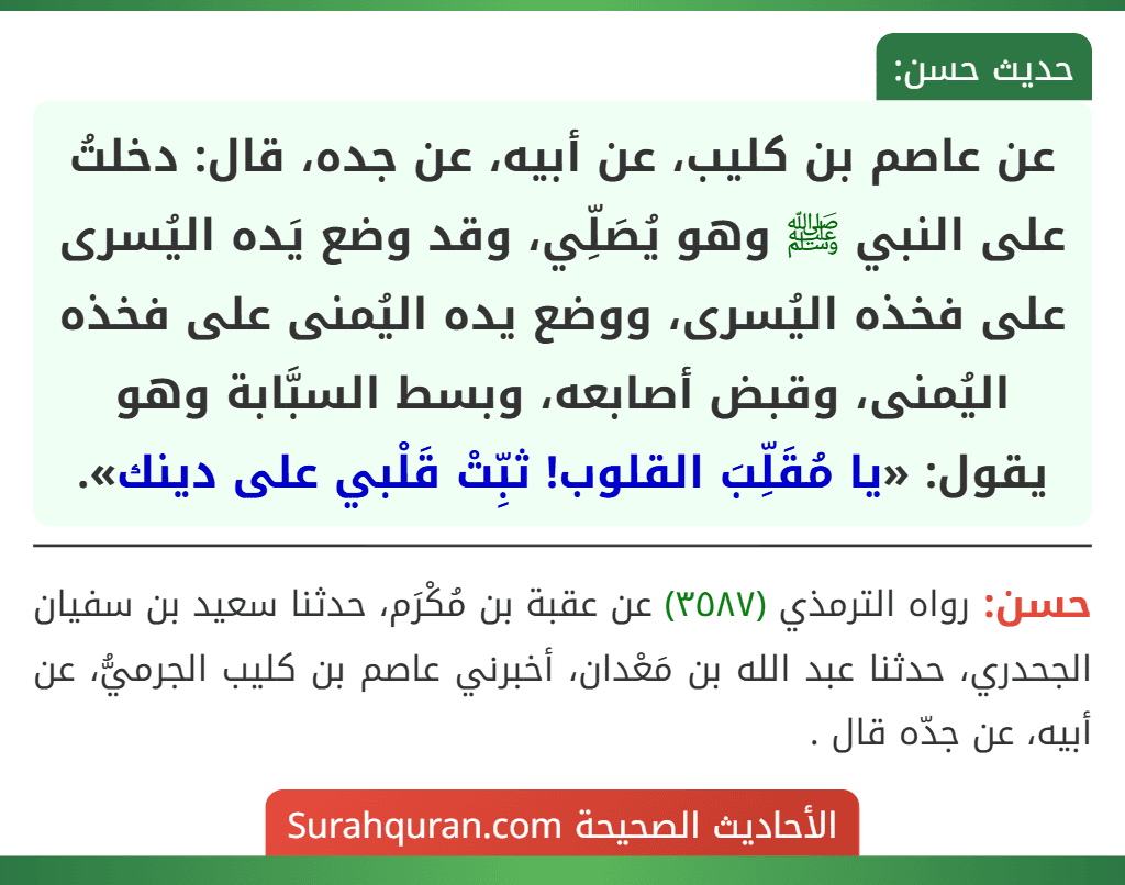 عن عاصم بن كليب، عن أبيه، عن جده، قال: دخلتُ على النبي ﷺ وهو يُصَلِّي، وقد وضع يَده اليُسرى على فخذه اليُسرى، ووضع يده اليُمنى على فخذه اليُمنى، وقبض أصابعه، وبسط السبَّابة وهو يقول: «يا مُقَلِّبَ القلوب! ثبِّتْ قَلْبي على دينك». عن عاصم بن كليب، عن أبيه، عن جده، قال: دخلتُ على النبي ﷺ وهو يُصَلِّي، وقد وضع يَده اليُسرى على فخذه اليُسرى، ووضع يده اليُمنى على فخذه اليُمنى، وقبض أصابعه، وبسط السبَّابة وهو يقول: «يا مُقَلِّبَ القلوب! ثبِّتْ قَلْبي على دينك».