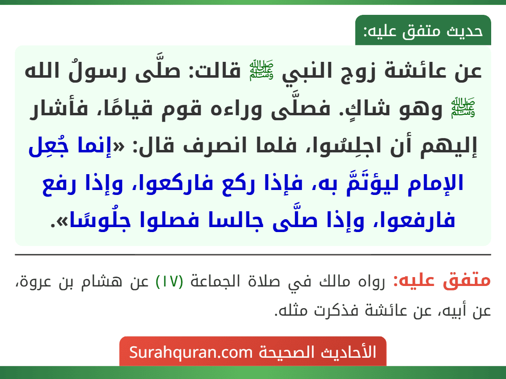 عن عائشة زوج النبي ﷺ قالت: صلَّى رسولُ الله ﷺ وهو شاكٍ. فصلَّى وراءه قوم قيامًا، فأشار إليهم أن اجلِسُوا، فلما انصرف قال: «إنما جُعِل الإمام ليؤتَمَّ به، فإذا ركع فاركعوا، وإذا رفع فارفعوا، وإذا صلَّى جالسا فصلوا جلُوسًا». عن عائشة زوج النبي ﷺ قالت: صلَّى رسولُ الله ﷺ وهو شاكٍ. فصلَّى وراءه قوم قيامًا، فأشار إليهم أن اجلِسُوا، فلما انصرف قال: «إنما جُعِل الإمام ليؤتَمَّ به، فإذا ركع فاركعوا، وإذا رفع فارفعوا، وإذا صلَّى جالسا فصلوا جلُوسًا».