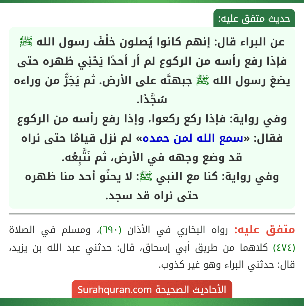 عن البراء قال: إنهم كانوا يُصلون خلْفَ رسول الله ﷺ فإذا رفع رأسه من الركوع لم أر أحدًا يَحْنِي ظهره حتى يضعَ رسول الله ﷺ جبهتَه على الأرض. ثم يَخِرُّ من وراءه سُجَّدًا.
وفي رواية: فإذا ركع ركعوا، وإذا رفع رأسه من الركوع فقال: «سمع الله لمن حمده» لم نزل قيامًا حتى نراه قد وضع وجهه في الأرض، ثم نَتَّبِعُه.
وفي رواية: كنا مع النبي ﷺ: لا يحنُو أحد منا ظهره حتى نراه قد سجد.