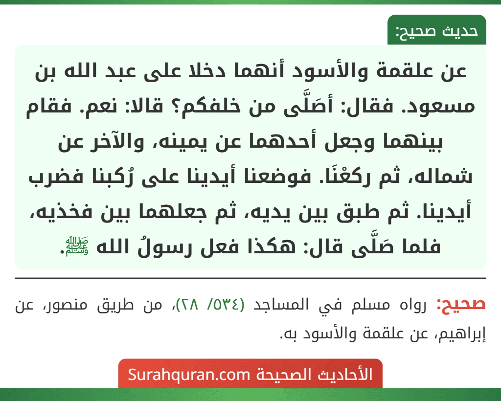 عن علقمة والأسود أنهما دخلا على عبد الله بن مسعود. فقال: أصَلَّى من خلفكم؟ قالا: نعم. فقام بينهما وجعل أحدهما عن يمينه، والآخر عن شماله، ثم ركعْنَا. فوضعنا أيدينا على رُكبنا فضرب أيدينا. ثم طبق بين يديه، ثم جعلهما بين فخذيه، فلما صَلَّى قال: هكذا فعل رسولُ الله ﷺ. عن علقمة والأسود أنهما دخلا على عبد الله بن مسعود. فقال: أصَلَّى من خلفكم؟ قالا: نعم. فقام بينهما وجعل أحدهما عن يمينه، والآخر عن شماله، ثم ركعْنَا. فوضعنا أيدينا على رُكبنا فضرب أيدينا. ثم طبق بين يديه، ثم جعلهما بين فخذيه، فلما صَلَّى قال: هكذا فعل رسولُ الله ﷺ.