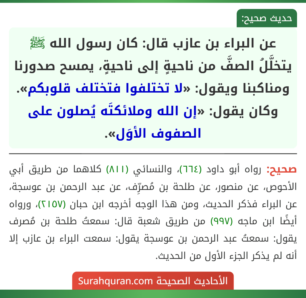 عن البراء بن عازب قال: كان رسول الله ﷺ يتخلَّلُ الصفَّ من ناحيةٍ إلى ناحيةٍ، يمسح صدورنا ومناكبنا ويقول: «لا تختلفوا فتختلف قلوبكم».
وكان يقول: «إن الله وملائكتَه يُصلون على الصفوف الأوَل».