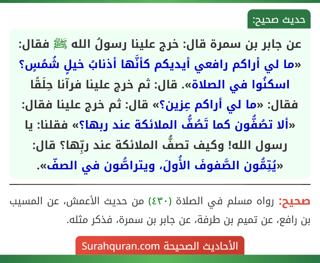 عن جابر بن سمرة قال: خرج علينا رسولُ الله ﷺ فقال: «ما لي أراكم رافعي أيديكم كأنَّها أذنابُ خيلٍ شُمُسٍ؟ اسكنُوا في الصلاة». قال: ثم خرج علينا فرآنا حِلَقًا فقال: «ما لي أراكم عِزين؟» قال: ثم خرج علينا فقال: «ألا تصُفُّون كما تَصُفُّ الملائكة عند ربها؟» فقلنا: يا رسول الله! وكيف تصفُّ الملائكة عند ربِّها؟ قال: «يُتِمُّون الصَّفوفَ الأُولَ، ويتراصُّون في الصفّ».