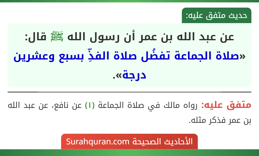 عن عبد الله بن عمر أن رسول الله ﷺ قال: «صلاة الجماعة تفضُل صلاة الفذِّ بسبع وعشرين درجة».