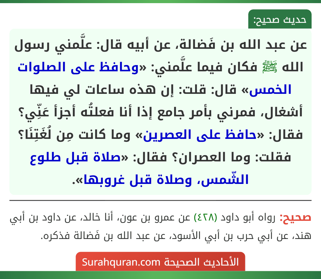 عن عبد الله بن فَضالة، عن أبيه قال: علَّمني رسول الله ﷺ فكان فيما علَّمني: «وحافظ على الصلوات الخمس» قال: قلت: إن هذه ساعات لي فيها أشغال، فمرني بأمر جامع إذا أنا فعلتُه أجزأ عَنِّي؟ فقال: «حافظ على العصرين» وما كانت مِن لُغَتِنَا؟ فقلت: وما العصران؟ فقال: «صلاة قبل طلوع الشّمس، وصلاة قبل غروبها». عن عبد الله بن فَضالة، عن أبيه قال: علَّمني رسول الله ﷺ فكان فيما علَّمني: «وحافظ على الصلوات الخمس» قال: قلت: إن هذه ساعات لي فيها أشغال، فمرني بأمر جامع إذا أنا فعلتُه أجزأ عَنِّي؟ فقال: «حافظ على العصرين» وما كانت مِن لُغَتِنَا؟ فقلت: وما العصران؟ فقال: «صلاة قبل طلوع الشّمس، وصلاة قبل غروبها».