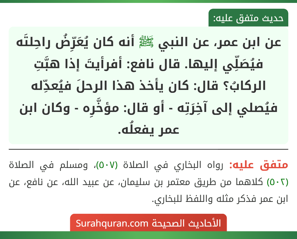 عن ابن عمر، عن النبي ﷺ أنه كان يُعَرِّضُ راحِلتَه فيُصَلِّي إليها. قال نافع: أفرأيتَ إذا هبَّتِ الركابُ؟ قال: كان يأخذ هذا الرحلَ فيُعدِّله فيُصلي إلى آخِرَتِه - أو قال: مؤخَّرِه - وكان ابن عمر يفعلُه. عن ابن عمر، عن النبي ﷺ أنه كان يُعَرِّضُ راحِلتَه فيُصَلِّي إليها. قال نافع: أفرأيتَ إذا هبَّتِ الركابُ؟ قال: كان يأخذ هذا الرحلَ فيُعدِّله فيُصلي إلى آخِرَتِه - أو قال: مؤخَّرِه - وكان ابن عمر يفعلُه.
